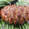 Fotografia 11 da espécie Pinus pinaster do Jardim Botânico UTAD