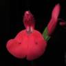 Fotografia 1 da espécie Salvia greggii do Jardim Botânico UTAD