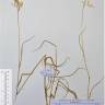 Fotografia de herbário 1 da espécie Bromus madritensis no Jardim Botânico UTAD