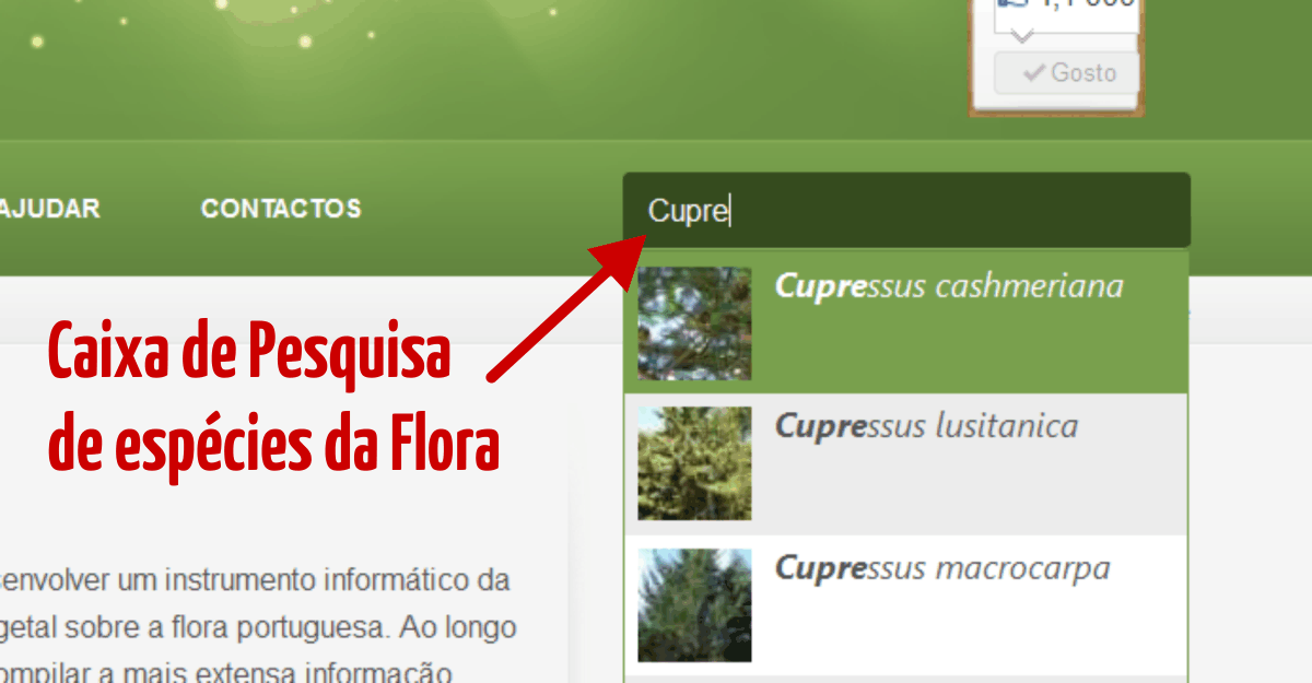 Barra de pesquisa de espécies na Flora Digital de Portugal.