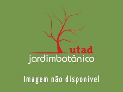 Imagem não disponível