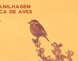 Curso de Anilhagem Científica de Aves