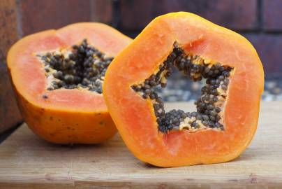 Fotografia da espécie Carica papaya