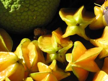 Fotografia da espécie Averrhoa carambola