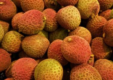 Fotografia da espécie Litchi chinensis