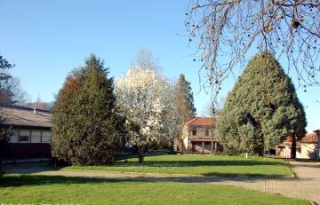 Pavilhões