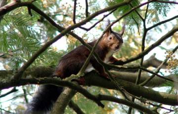 Fotografias da Natureza no Campus da UTAD vista pela objectiva de João Carrola.