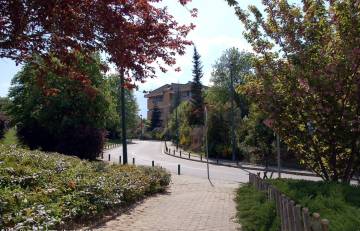 Campus