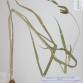 Fotografia 1 de herbário da espécie Echinochloa crus-galli no Jardim Botânico UTAD